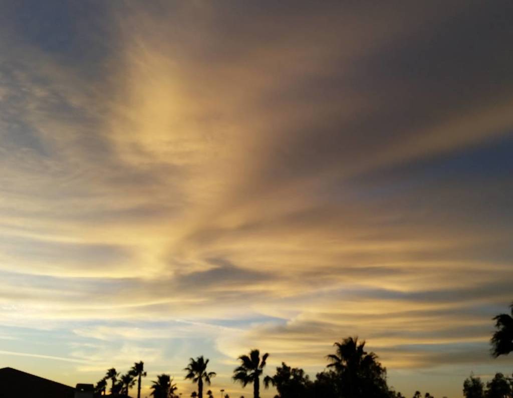 scia_chimica's tweet photo. #anonymous #anon_family #anonymiss #chemtrails #haarp #cern #sky #geoengineering #atmosphe… https://t.co/N3HJd546rO https://t.co/jqo8bbomZB