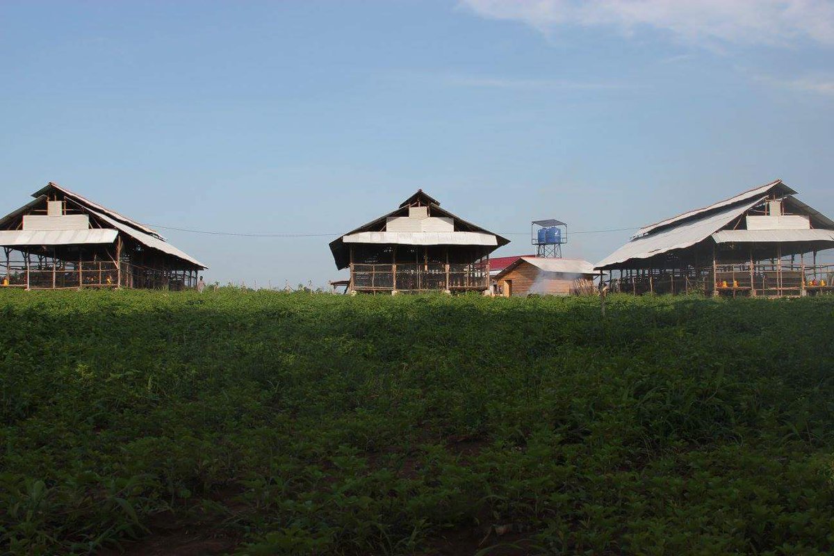 bumt_tbb's tweet photo. Breeding farm
BUMT Tiyuh Mandiri Bersama
Tulang Bawang Barat
https://t.co/elje0nKRzX https://t.co/BSceUYOavH