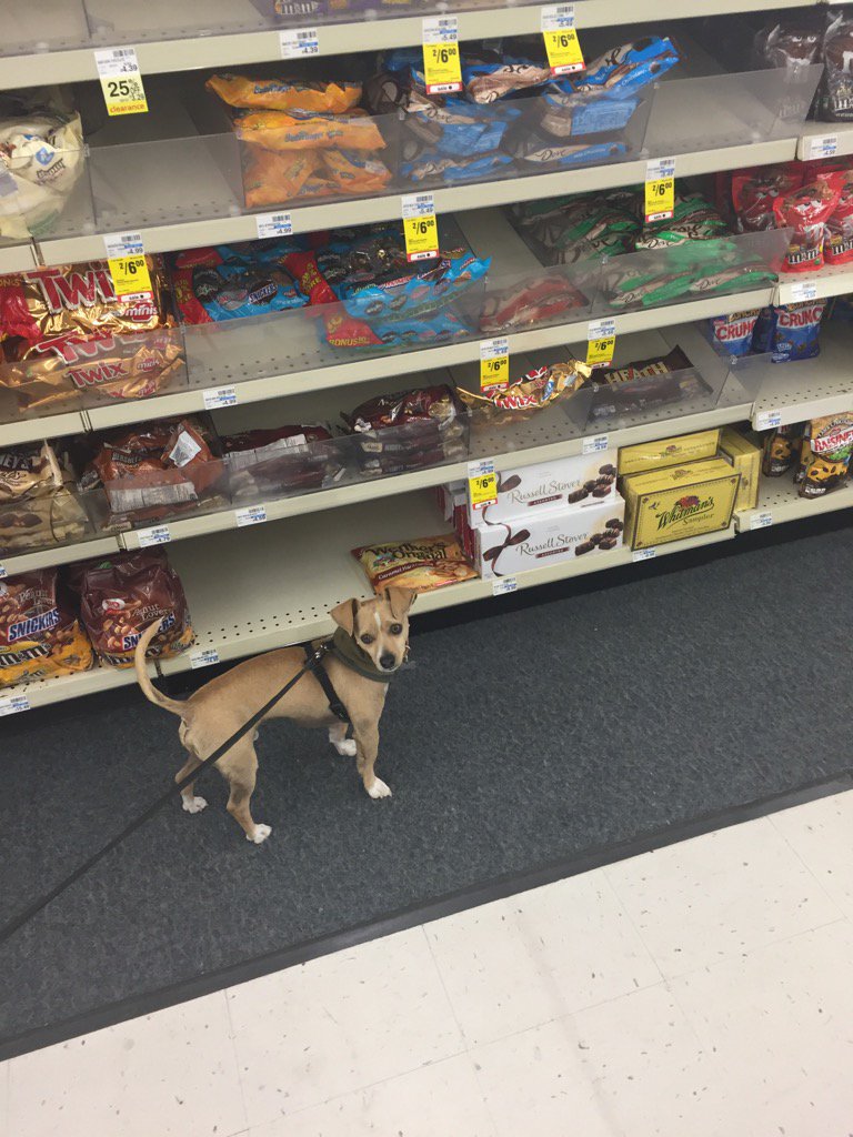 no *you* just peed in cvs