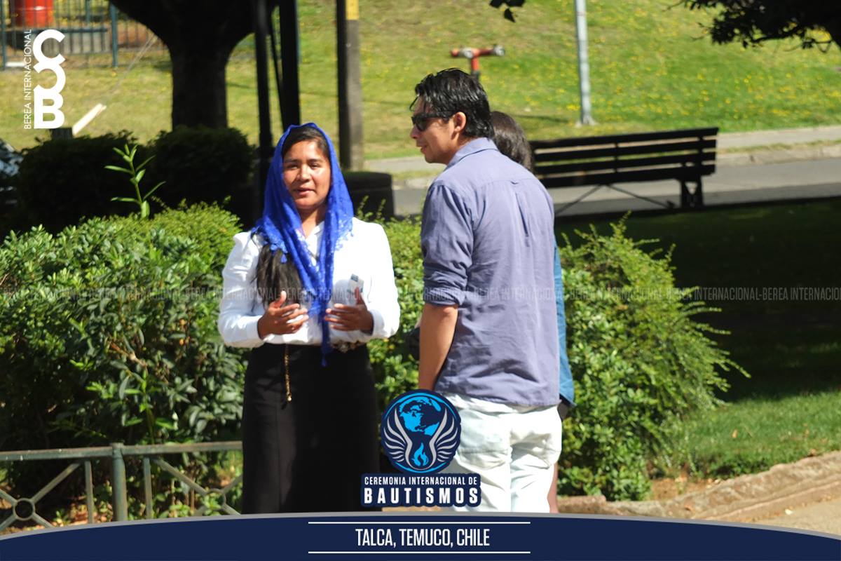 BereaInter's tweet photo. Ceremonia Internacional de Bautismos 

Talca, Temuco, Chile

#LdmBautismos
#SoyLuzdelMundo 
#BereaInternacional https://t.co/eghh9lEX2u