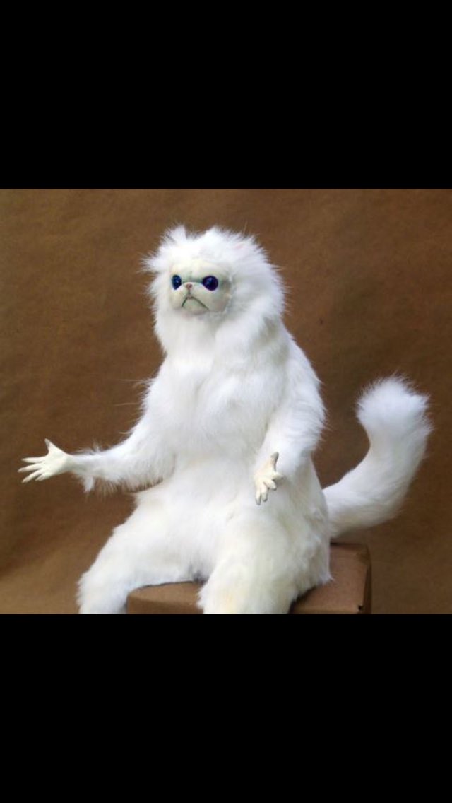 VoteForMembrane's tweet photo. When you just trying to be successful and everyone hates on you #ACPAOW2016 https://t.co/3cRVY2gHj7