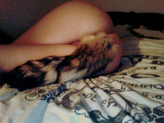 BackdoorD's tweet photo. How about a few more tails before the night's over?
@patricia_dove @DRM00RE @Drjohnson100 @Firecrackers_ @DrRZX https://t.co/rrkHgDO9Xv