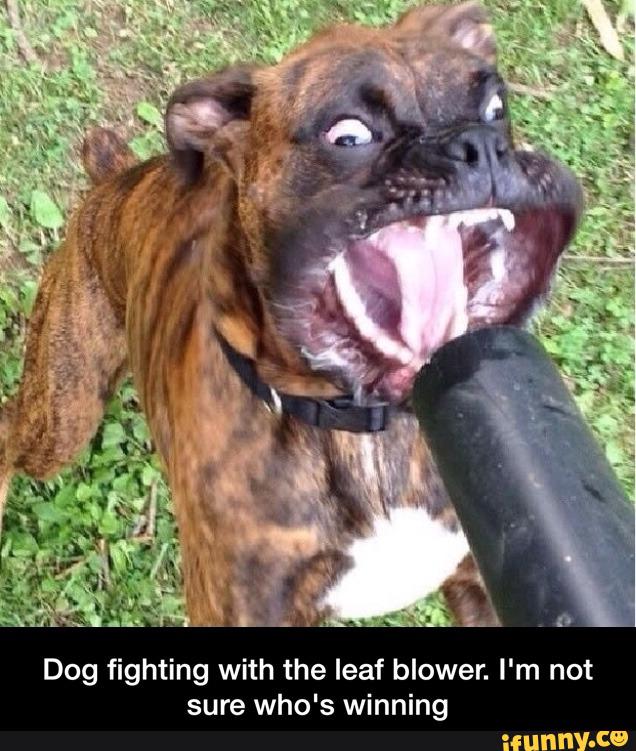 IntExplupdate's tweet image. Yeah