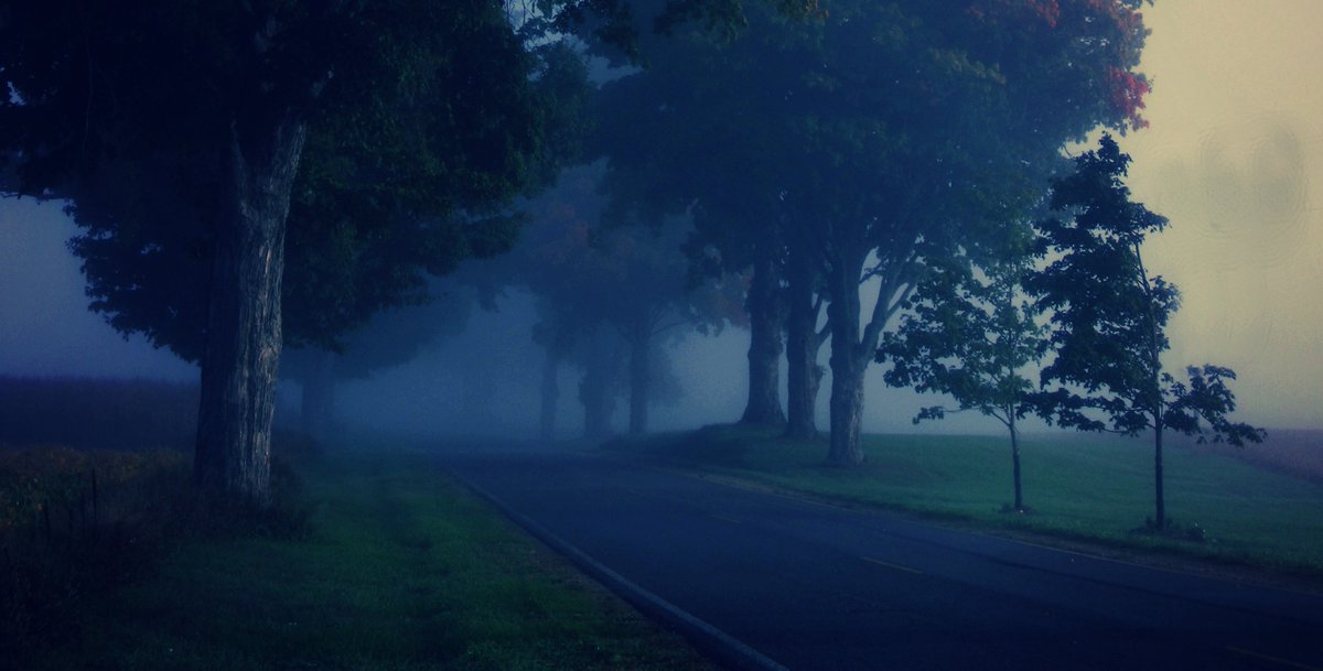 amanda_clicks's tweet photo. #flickr #photography #landscapephotography #treesinthemist #hopelesswanderer https://t.co/d1do8prutf