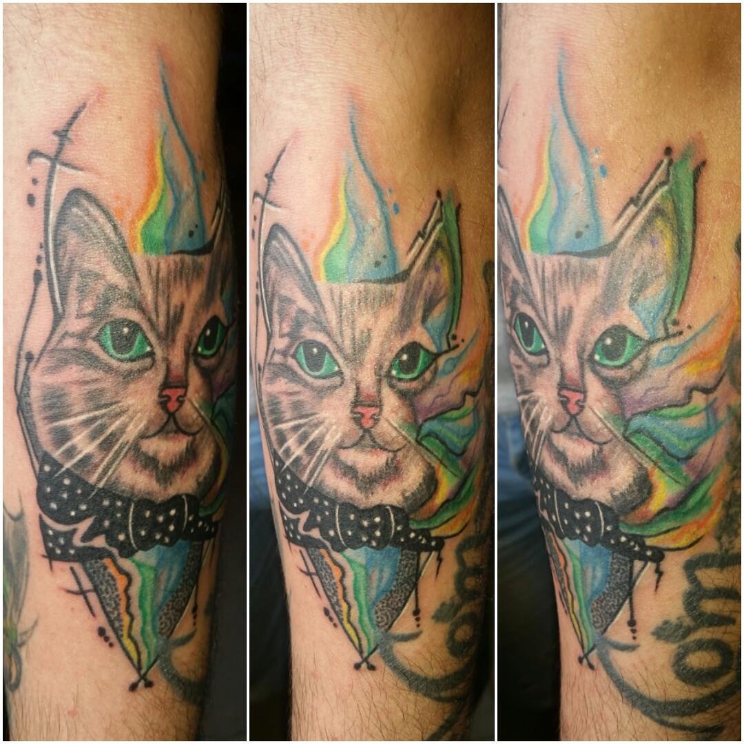 ferney2905's tweet image. #tattoo #arte #gato #acuarela