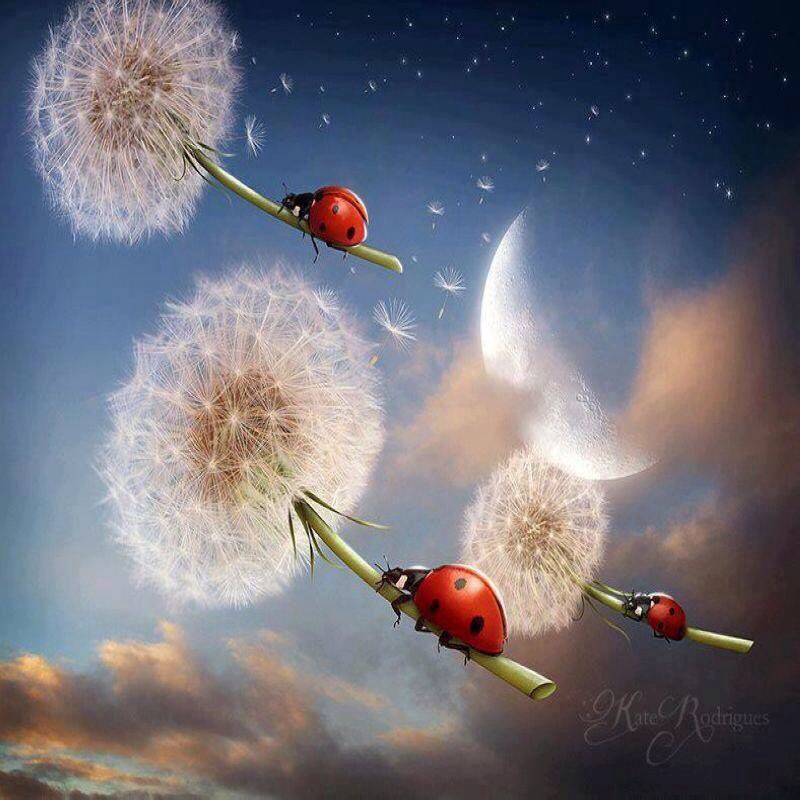 tabirempel's tweet photo. Wishes, hugs, n' ladybugs https://t.co/aAodnoF3yk