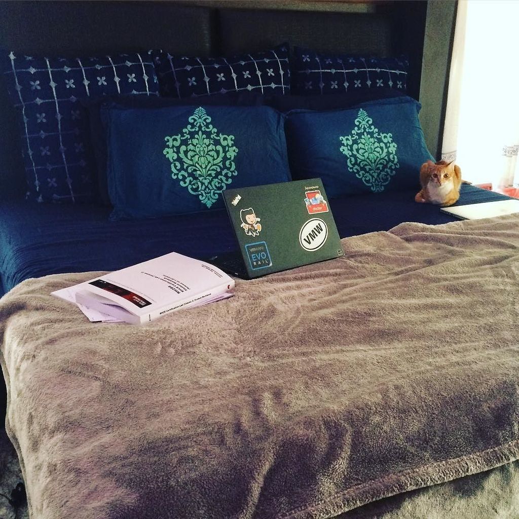 satarupaseal's tweet photo. Home decor tip: Get a cat to sit adorably on all your furniture😄. #homedecor #bluebedding … https://t.co/pcCTlsQHtI https://t.co/qDTk9YPxhH