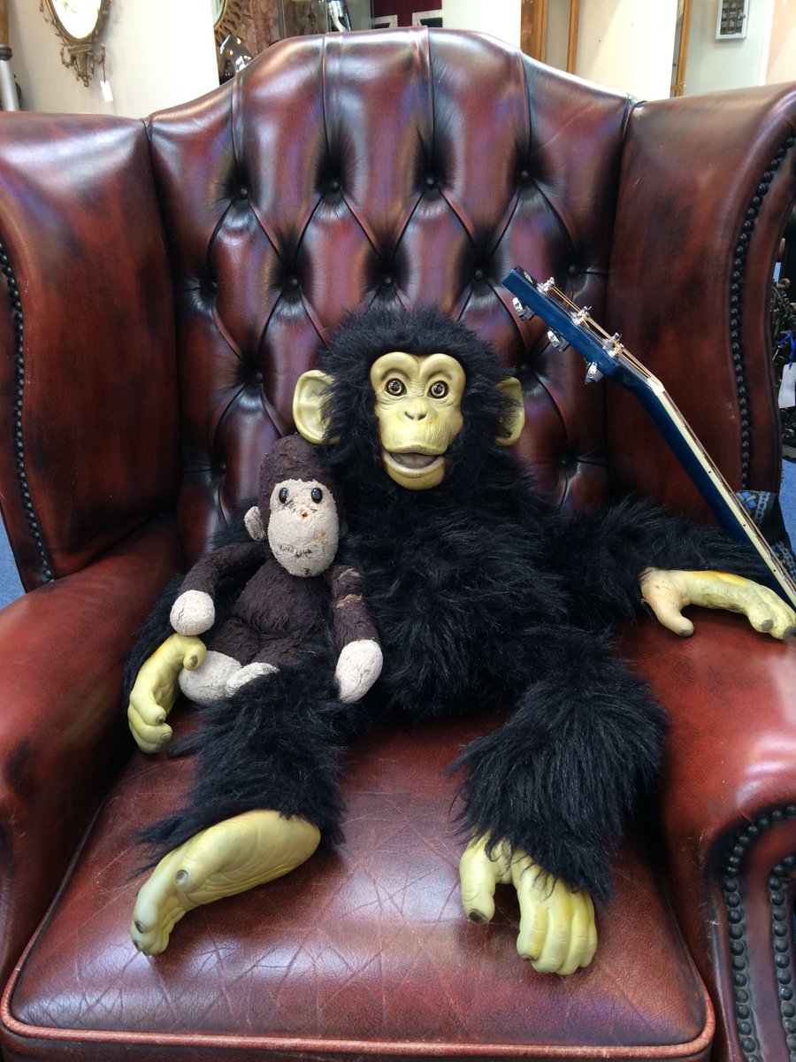 JakeTrickEvans's tweet photo. Trick and chindy ready for a long day of storytelling @BritishIronwork #storytelling #spokenword #apingaround https://t.co/miUeSTnMn4