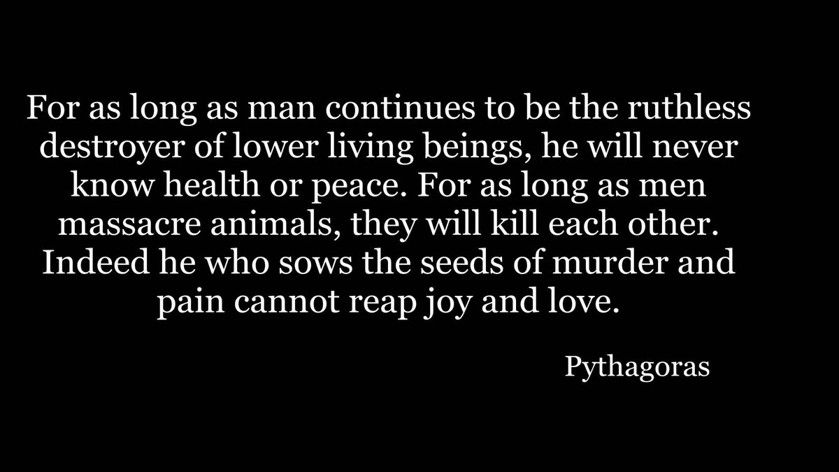 vegan_maggie's tweet photo. #vegan https://t.co/0IeEh9GOCU