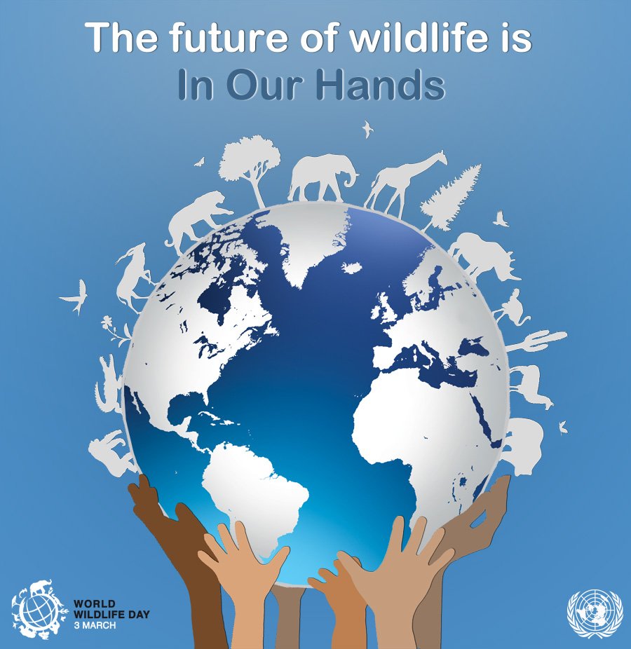 UNGeneva's tweet photo. Ban Ki-moon calls on all countries &amp; citizens to play a part in protecting wildlife https://t.co/8jsOQSu1RZ #WWD2016 https://t.co/ukRkOrSqTa