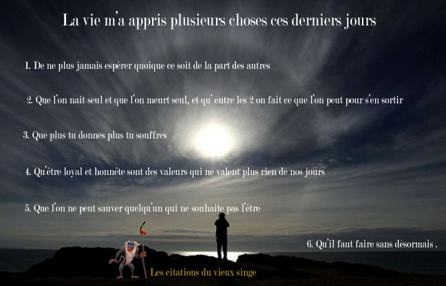 Citation Vieux Singe Citationdusinge Twitter Citation Vieux Singe Citationdusinge Twitter