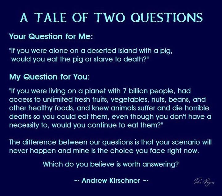 Make the right choice. #govegan #vegan #fortheanimals