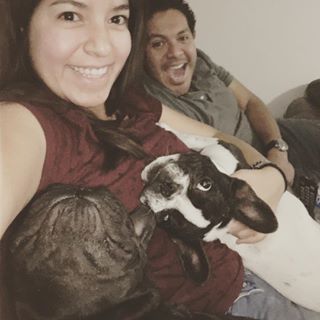 Frenchie_Cute's tweet photo. Us 👫🐶🐶💓 #Elvis #Cocow #tux #frenchie #frenchbulldog https://t.co/KOs6go3NDx https://t.co/pNb8nimGMh
