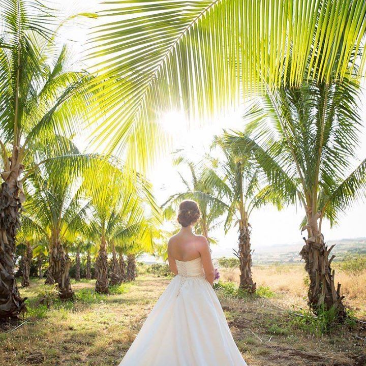 amauiweddingday's tweet photo. To Maui with Love! #palmtrees #mauiweddingvenue #mauiweddingcoordinators #mauiweddingplann… https://t.co/6ju3Kc2A63) https://t.co/lKnaaXE62T