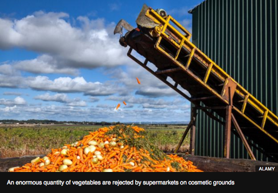 Obscene Wastage Issue of Nutritious Crops- The Rejected Vegetables that Aren’t Even Wonky: bbc.com/news/magazine-…