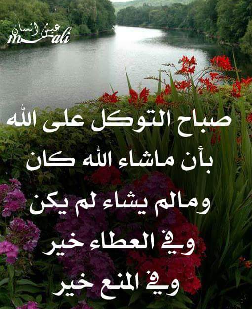om aser Emy (@tumalt) on Twitter photo 