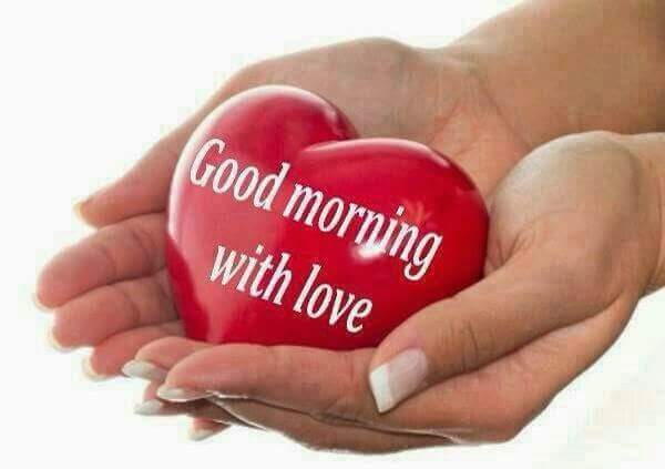yetunde_are's tweet photo. Good morning  friends https://t.co/U5evVhJKyM