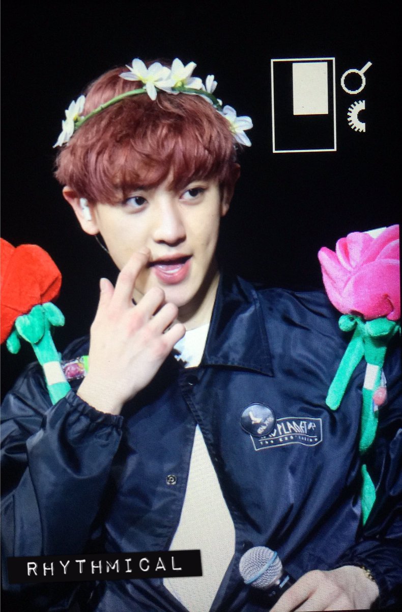 Rhythmical_cy's tweet photo. 160214 🌹🌹🌷🌸🌹🌺💐🌻 https://t.co/A5ddnFxlyp