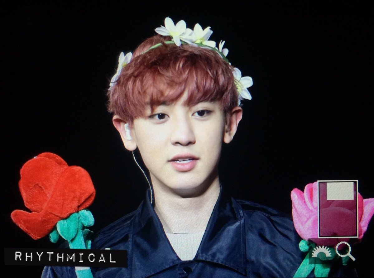 Rhythmical_cy's tweet photo. 160214 🌹🌹🌷🌸🌹🌺💐🌻 https://t.co/A5ddnFxlyp