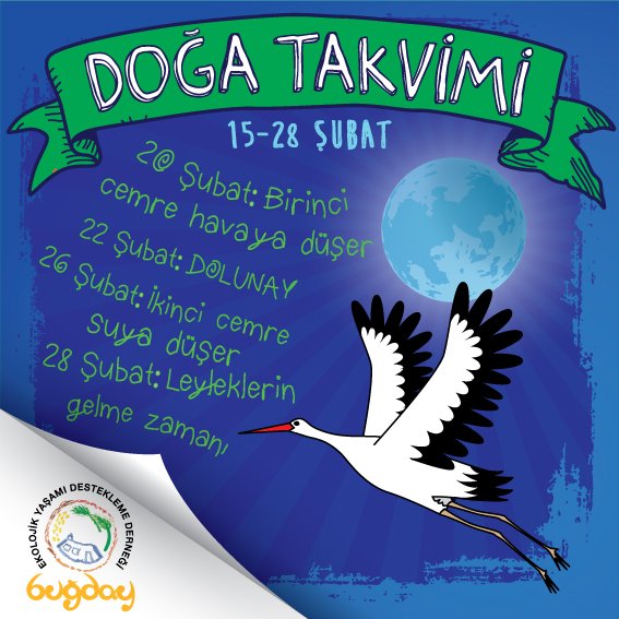 Ay büyüyor, cemreler düşüyor; leylekler de, bahar da yolda!
Herkese iyi haftalar!