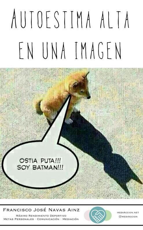 PacoNavasPsico's tweet photo. En nuestro blog: Autoestima alta en una imagen https://t.co/CR4zPpX0Yr https://t.co/dh6ePFUuMm