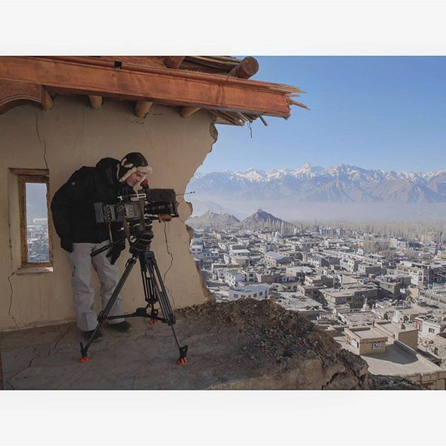 Bright Tangerine tweet media