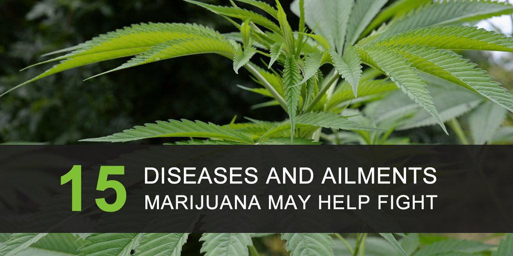 OrganicGuide's tweet photo. Is #marijuana about to go mainstream? https://t.co/FUUj7DRThP https://t.co/nxT2FuZBlP