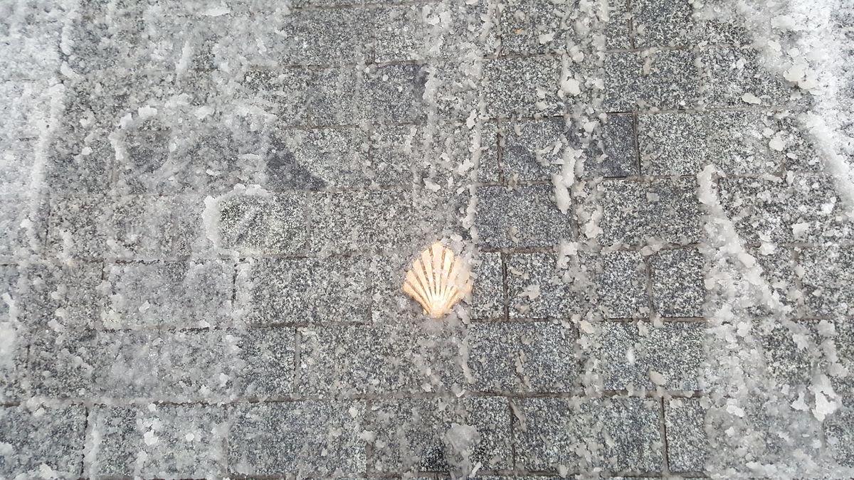 leonoticias_'s tweet image. León despierta bajo la nieve leonoticias.com/frontend/leono…