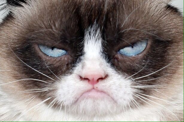 LDLC's tweet photo. Plus de 7500 tweets avec #GrumpyLDLC ! On annonce les 8 gagnants dans la journée. https://t.co/dDdN6fUf7c