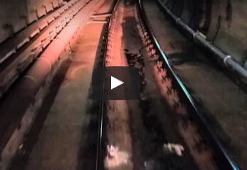 3AW693's tweet photo. ICYMI: "If that's the case, it's a worry" - leaked train video raises concern https://t.co/hf7FlSJf5I https://t.co/FEt5ISRarz