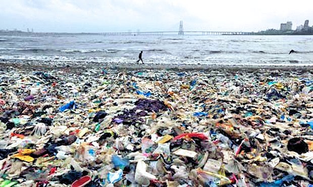 LEAFSociety's tweet photo. Innovations in sanitation transform solid waste &amp; sewage into power, fuel, &amp; fertile fields. https://t.co/c8Nl1Q5hwf https://t.co/485z0q6bjG