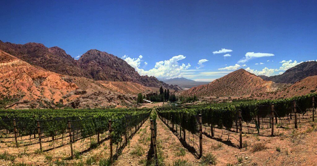 TASTE &amp; Enjoy 250+ great wines at The #Cheltenham #Wine Festival Sat14 MAY …eltenhamwinefestival.eventbrite.co.uk <a href="/EstanciaUspa/">Estancia Uspallata</a>