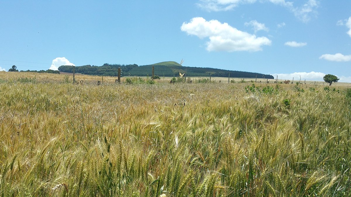 MysticalMeru's tweet photo. Be inspired by the sceneries of #MysticalMeru in 2016 #TembeaKenya https://t.co/gY8X1tBNjG
