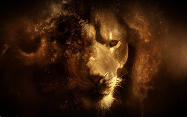 esoterismoscom's tweet photo. Horóscopo Leo 2016 https://t.co/zwzAzfmjiK https://t.co/4zbCaK9oOo