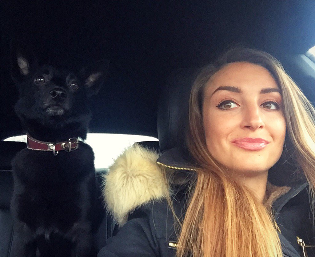 Full attention, ready to go..
#dog #Veyron #2ndhome