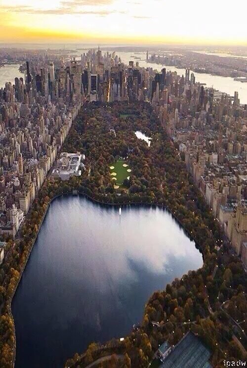 rybotics's tweet photo. Central Park. https://t.co/c252fFtuCO