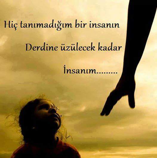 haydin tweet media