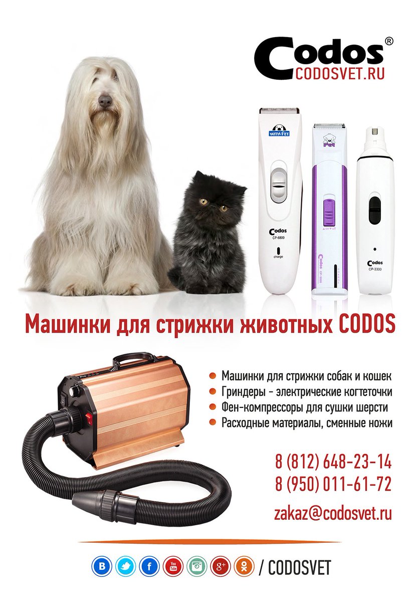 Skyteacher's tweet photo. https://t.co/3Tl5Imo9RH #стрижкаживотных #машинкадлястрижки #груминг #собаки #кошки #codos #codosvet #grooming https://t.co/9Ui8riBvjm