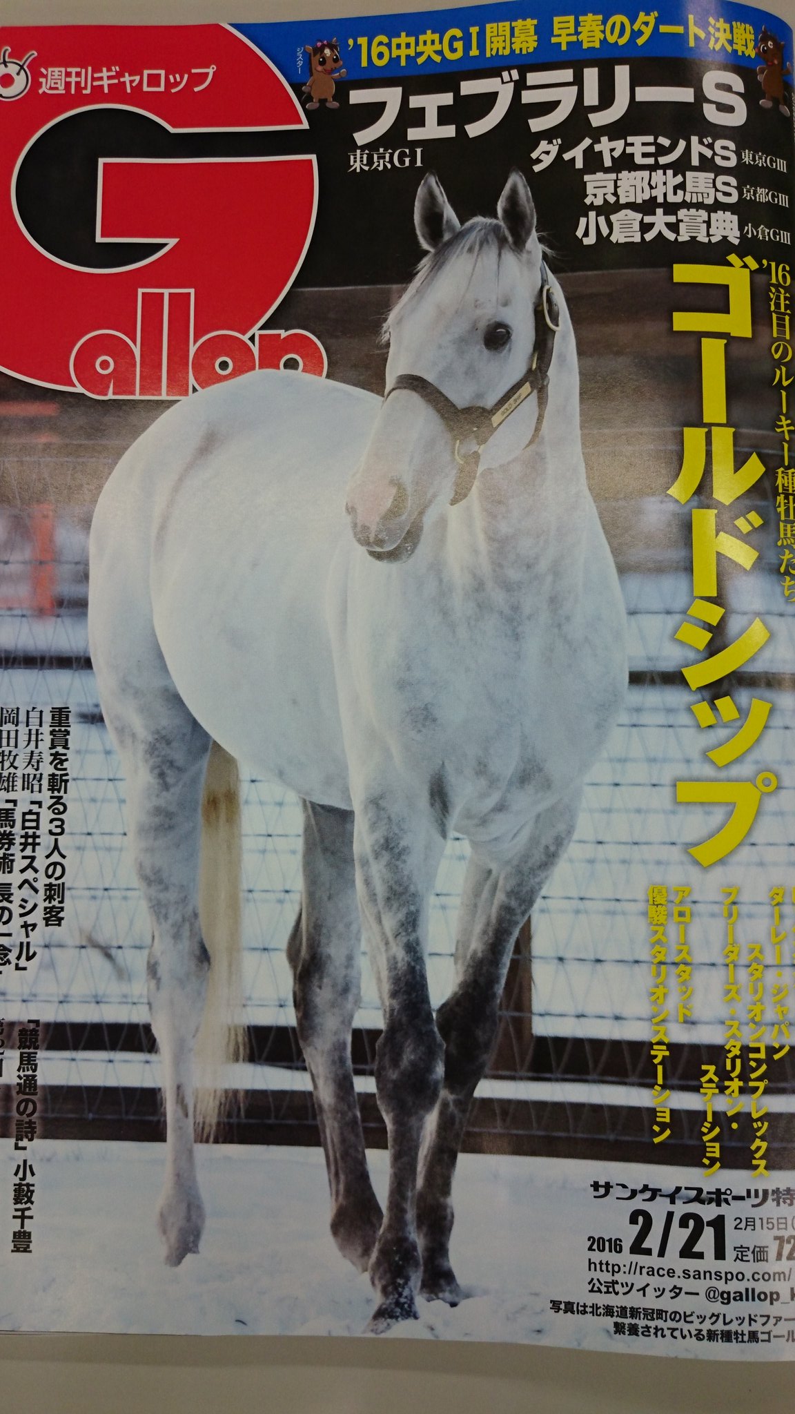 セール】 ゴールドシップ ギャロップ特製ポスター B1サイズ 競馬