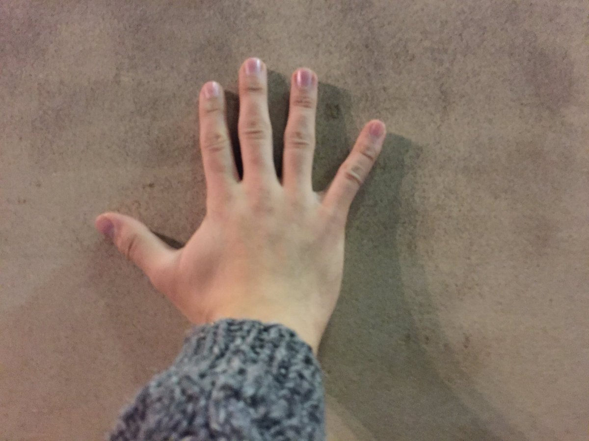 Fireseeds tweet media