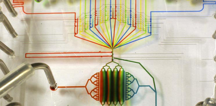 Labiotech_eu's tweet photo. ‘Every Droplet Counts’ with €1M Investment into French Microfluidic Start-Up @SeventureP https://t.co/RuEtEu0ft7 https://t.co/tuJoHJ3V07