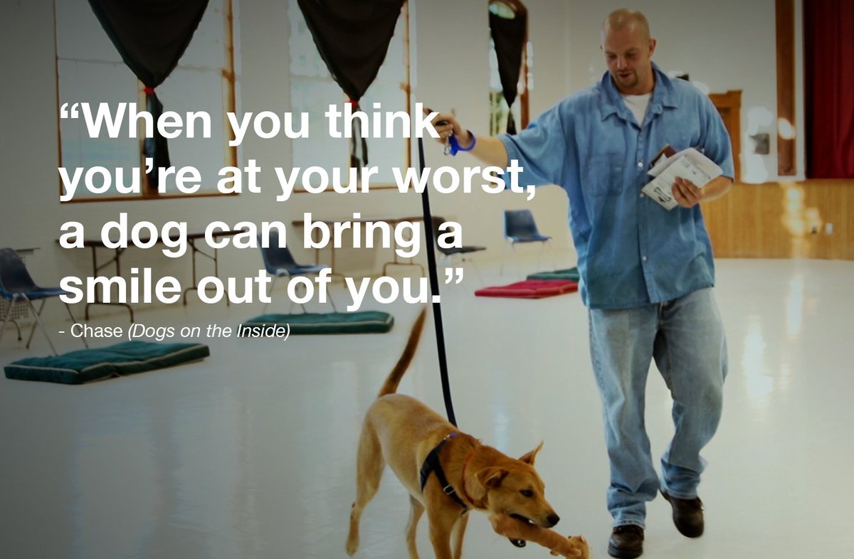 Dogs on the Inside tweet media