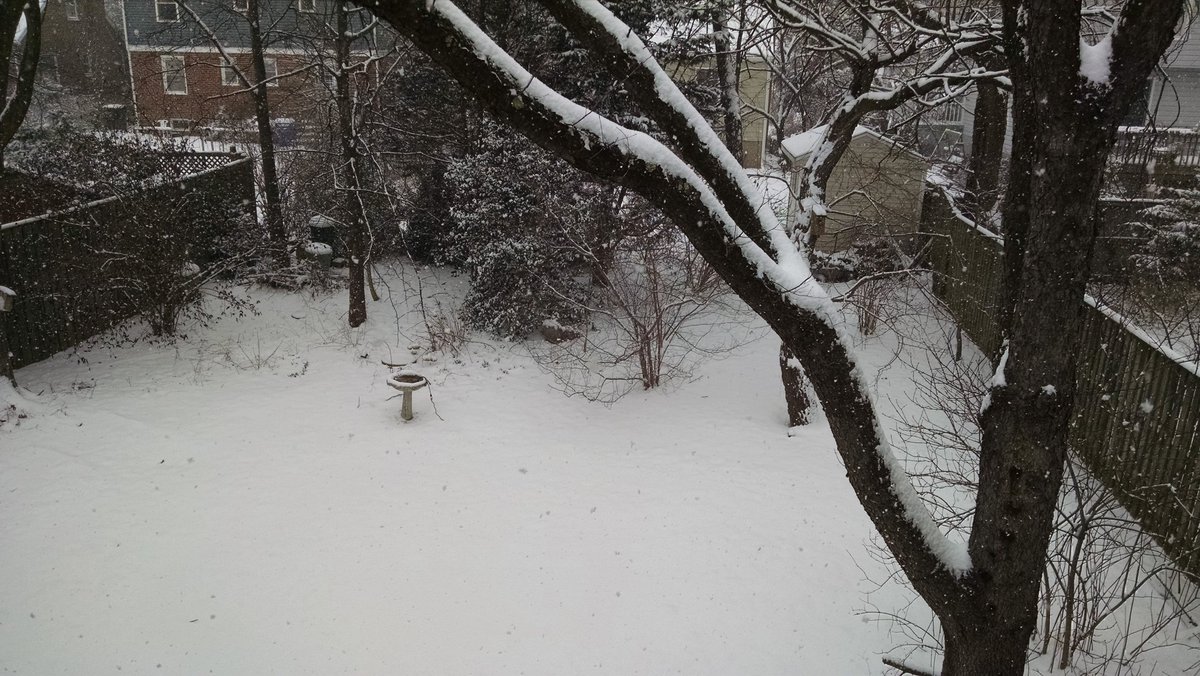 #CapitalWeather Over 2.6 inches so far in Arlington #snowini