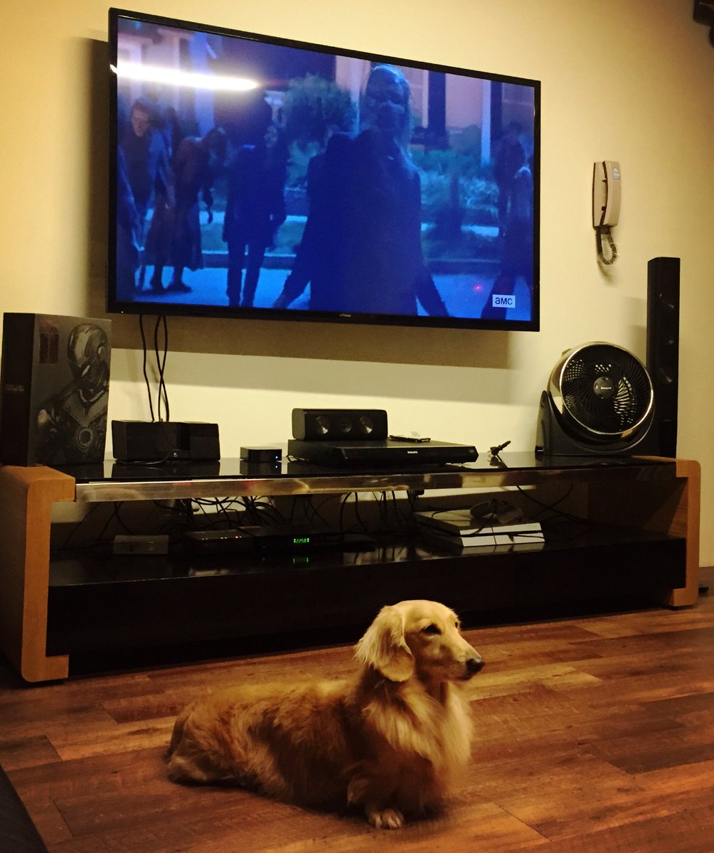 PLuo's tweet image. 回歸～