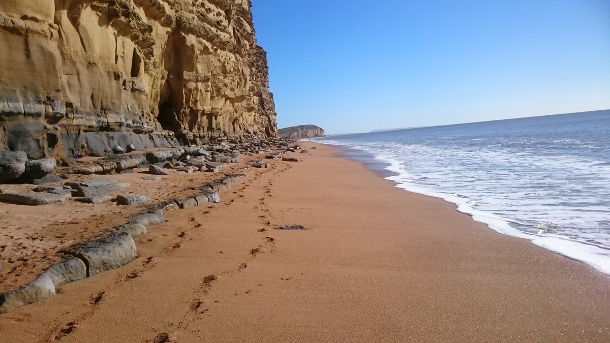 Tough commute to <a href="/SeasideBH/">Seaside Boarding</a> this morning