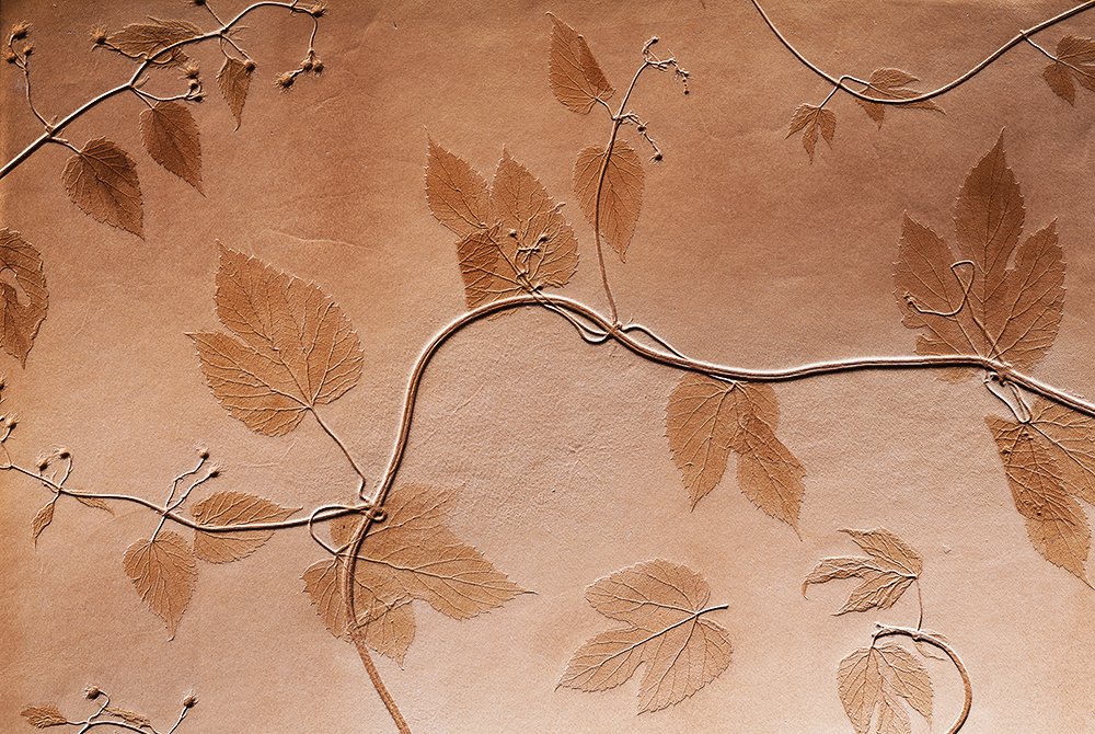 PremiereVision's tweet photo. Capture a piece of nature with #CarinaSohl embossed leaves in #leather at #maisondexceptions https://t.co/rjefUXHTvk https://t.co/7gYbsljigc