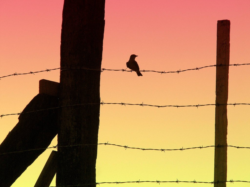 VenddoTech's tweet image. El internauta mexicano tiende a consultar reseñas de programas de TV por comentarios en Twitter.