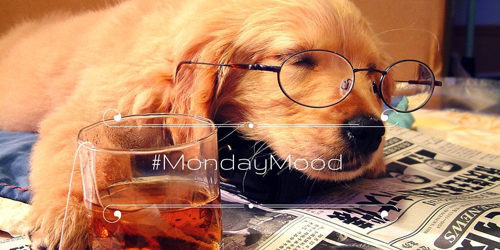 Super_FoodUK's tweet photo. Raise your hand if this is you this morning? 🙋🙋
#SuperFoodYeah #Mondays #BarelyAwake https://t.co/Yk5ZjEYKQZ