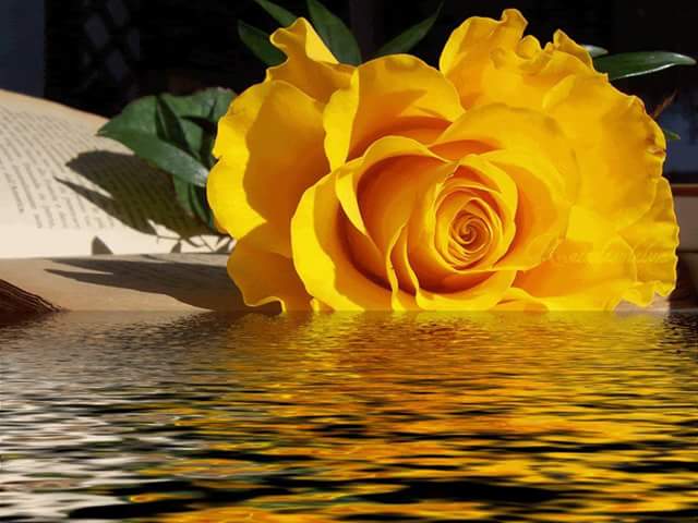 CarmenRinaldi4's tweet photo. @paoloigna1  buen comienzo de demanda, besitos https://t.co/gZjhDYPmLV