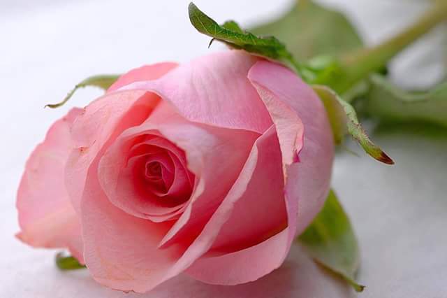 CarmenRinaldi4's tweet photo. @paoloigna1  buen comienzo de demanda, besitos https://t.co/gZjhDYPmLV